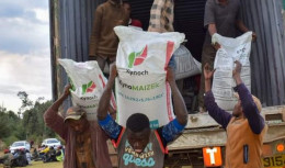 State To Supply 300,000MT Of Subsidized Fertilizers To Boost Production